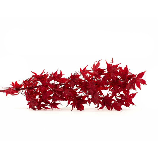 Acero Stabilizzato, Rami e foglie preservate colorazione Rosso Fuoco - Bouquet - Flordek nature