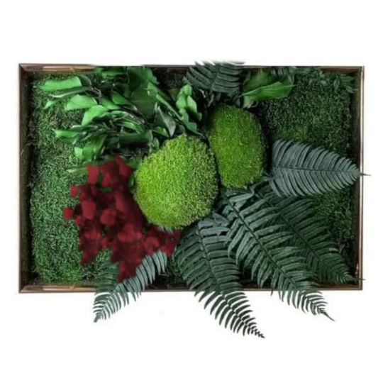 Quadro Vegetale con Piante Stabilizzate - Nature Verde e Rosso - 30x60 NO CORNICE - Flordek nature
