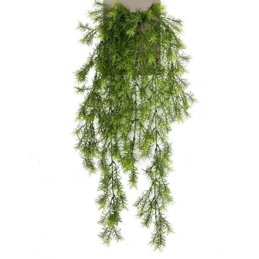 Asparagus Sprengeri Stabilizzato Verde - Bouquet - Flordek nature