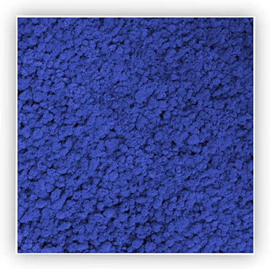 Quadro con Lichene Stabilizzato Colorato - Blu - 30x30 - Flordek nature