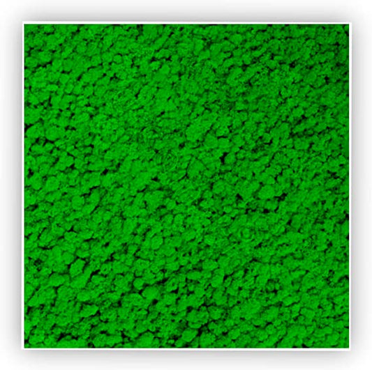 Quadro con Lichene Stabilizzato - Verde Scuro - 30x30 - Flordek nature