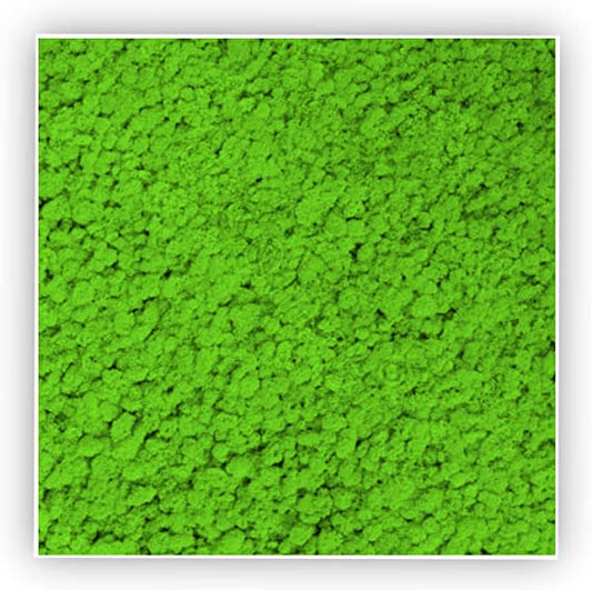 Quadro con Lichene Stabilizzato - Verde Nature - 30x30 - Flordek nature