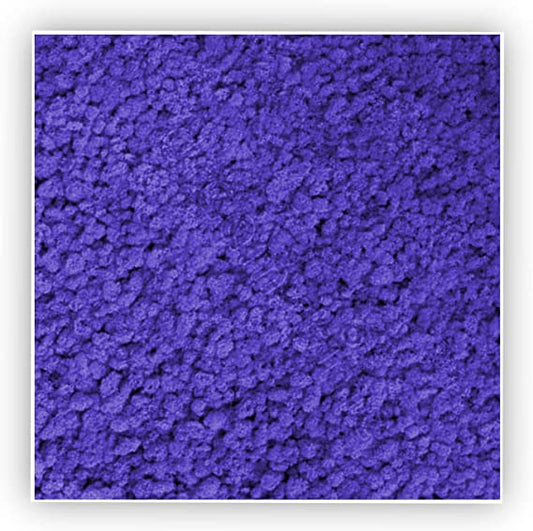 Quadro con Lichene Stabilizzato Colorato - Viola - 30x30 - Flordek nature