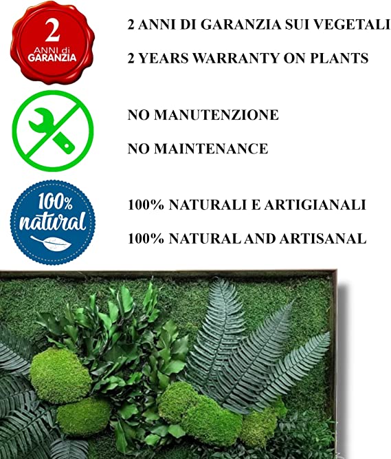 Quadro Vegetale con Piante Stabilizzate - Nature Verde e Rosso - 30x60 NO CORNICE - Flordek nature