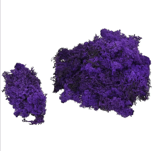 Lichene Stabilizzato - Viola - 100gr - Flordek nature